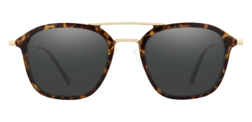 Sturgeon Aviator